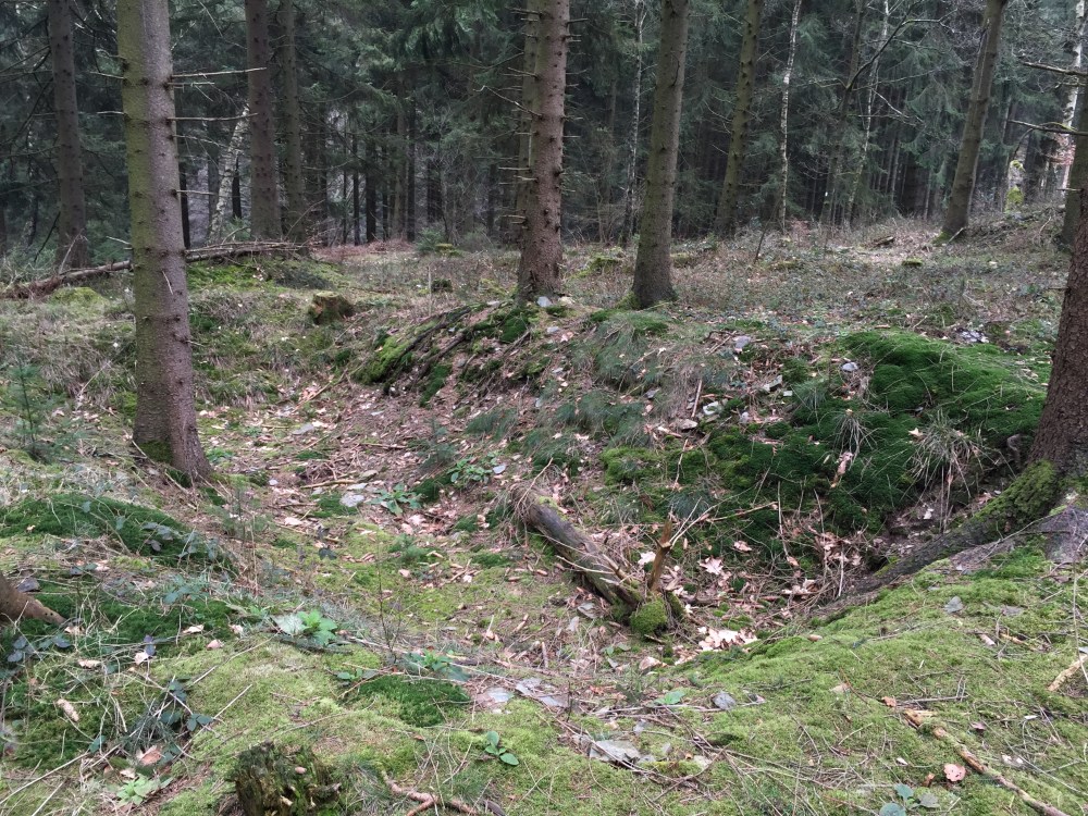 US Positions in the Hürtgenwald