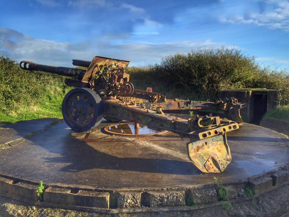 Howitzer, Maisy Battery 2015