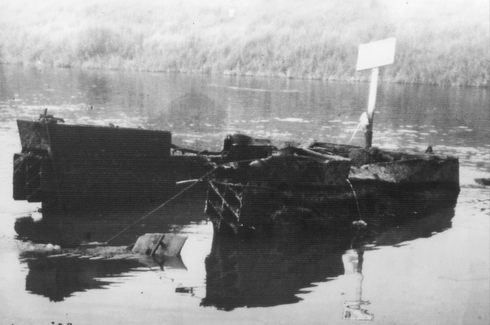 The Buffalo in the River Maas 1977.